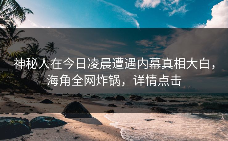 神秘人在今日凌晨遭遇内幕真相大白，海角全网炸锅，详情点击